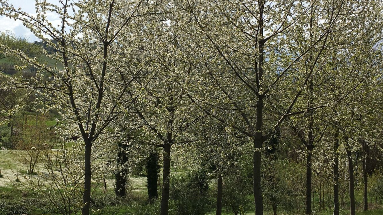 Photo of Outdoor in Force