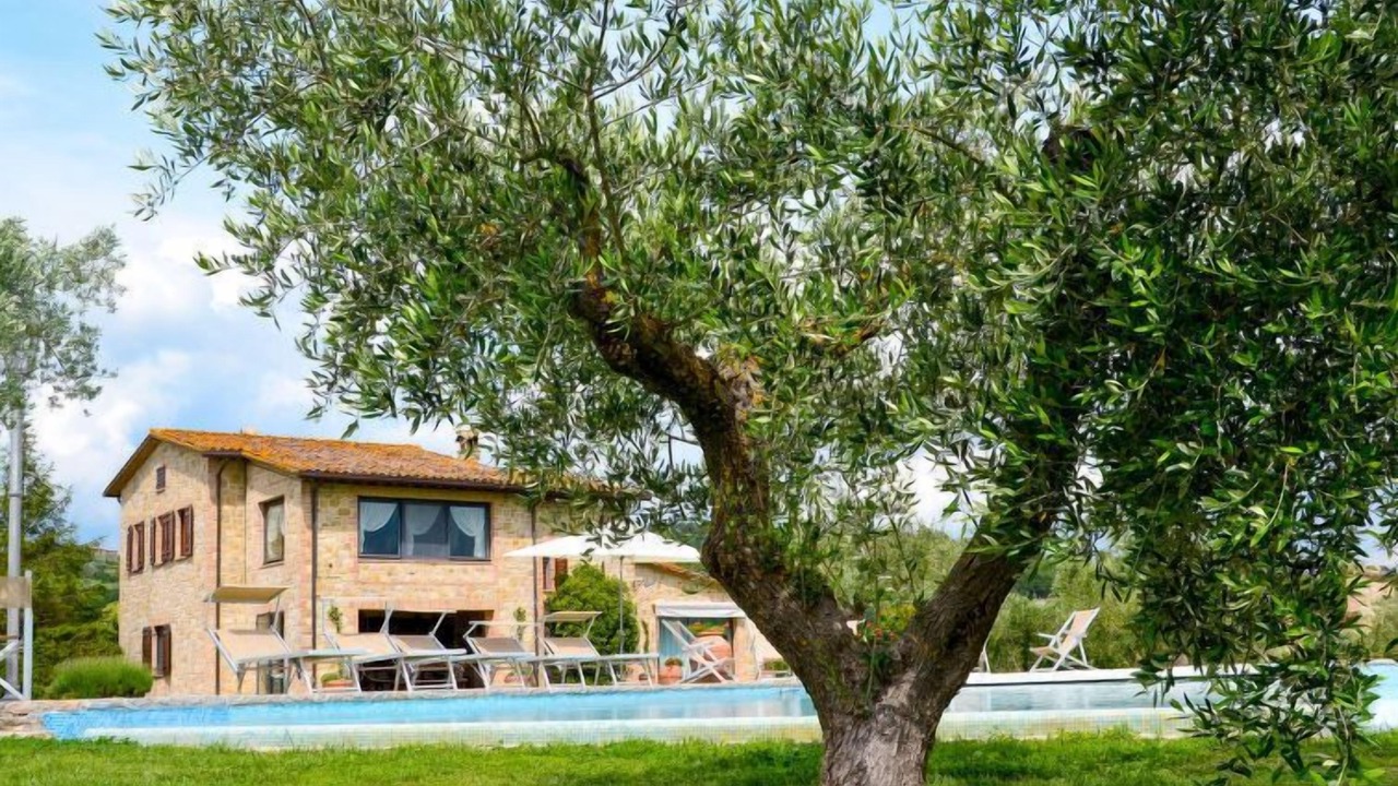 Photo of Outdoor in Collazzone