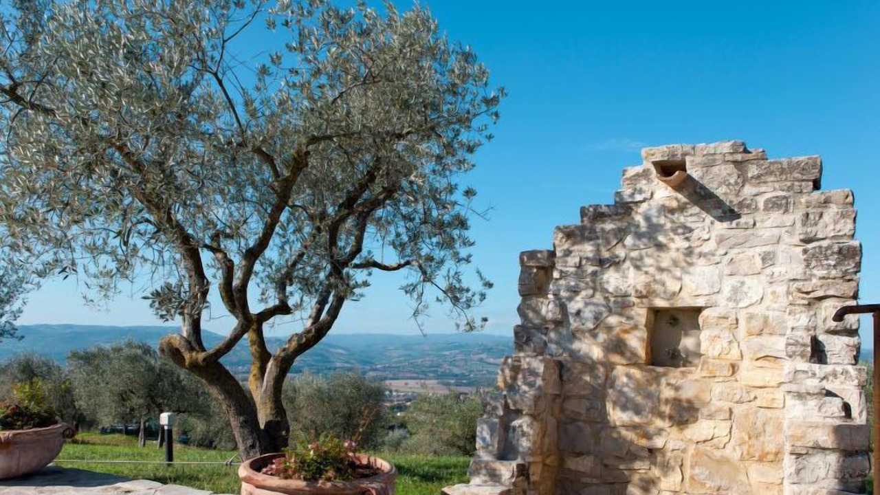 Photo of Outdoor in Collazzone