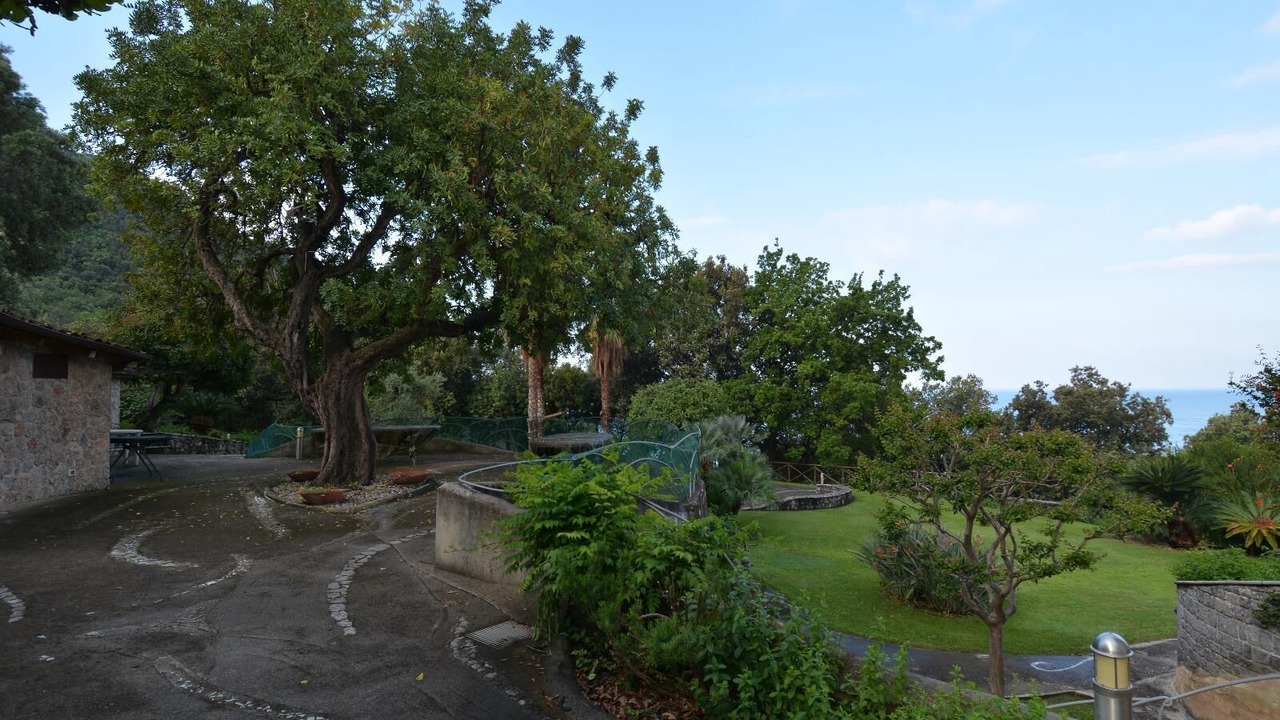Photo of Outdoor in Marina di Maratea