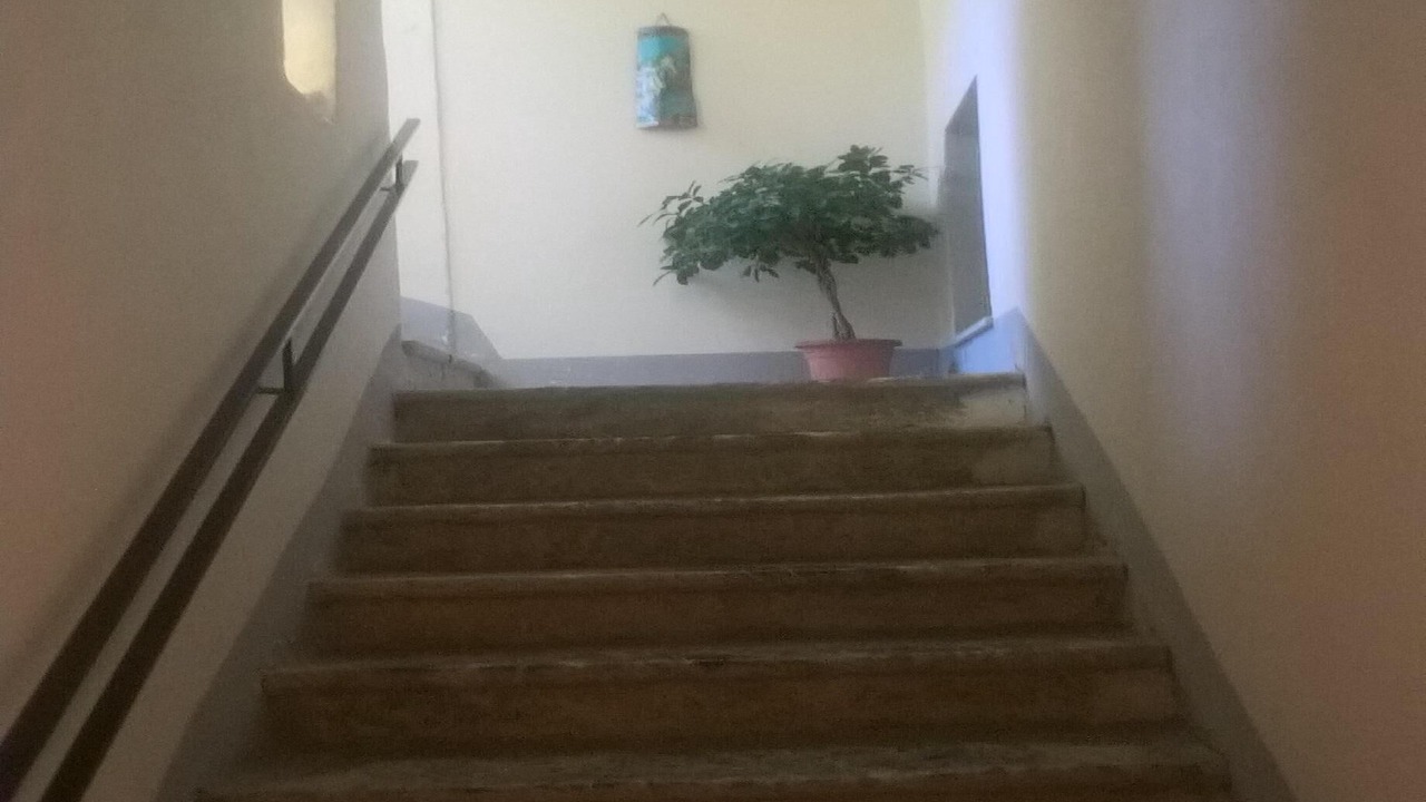 Photo of Others in Ascea
