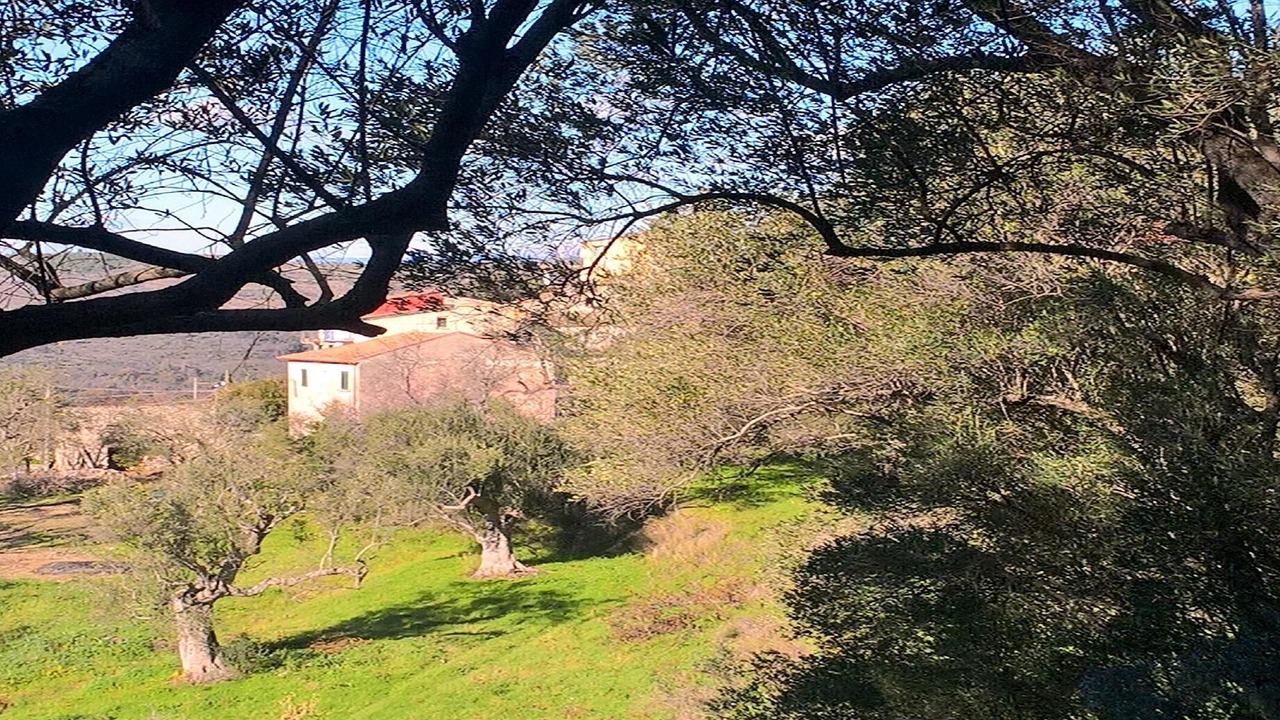Photo of Outdoor in Ascea