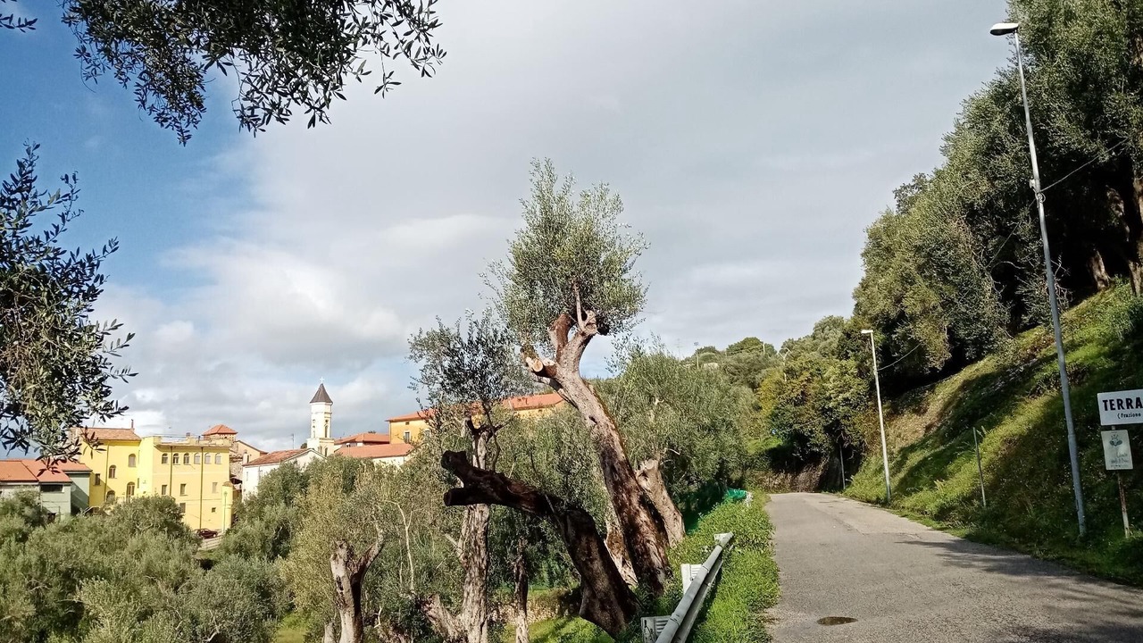 Photo of Outdoor in Ascea