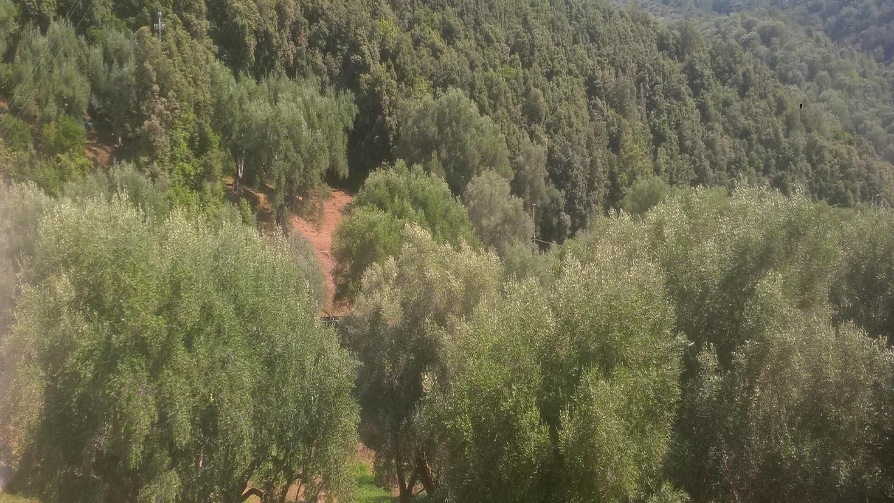 Photo of Outdoor in Ascea