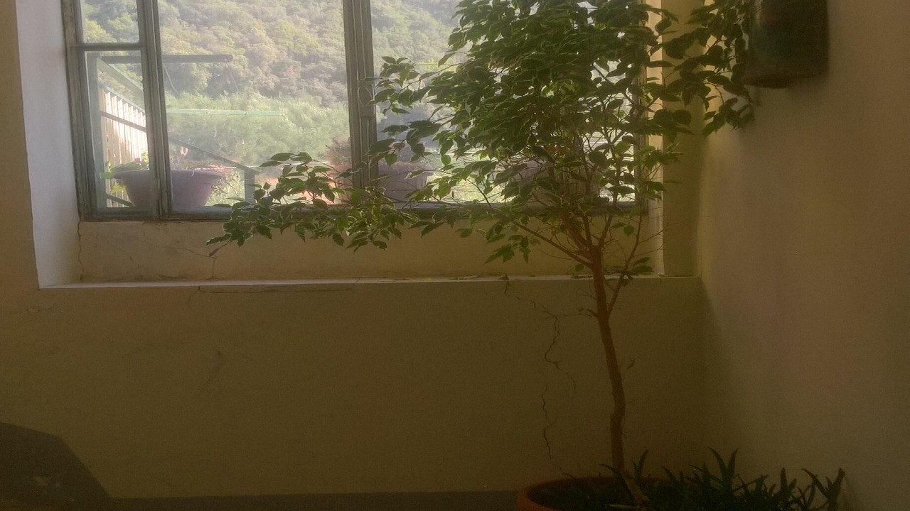 Photo of Others in Ascea