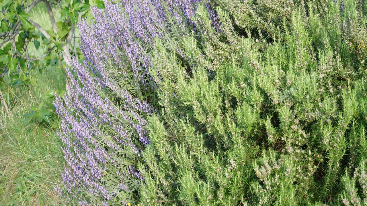 Photo of Outdoor in Ascea