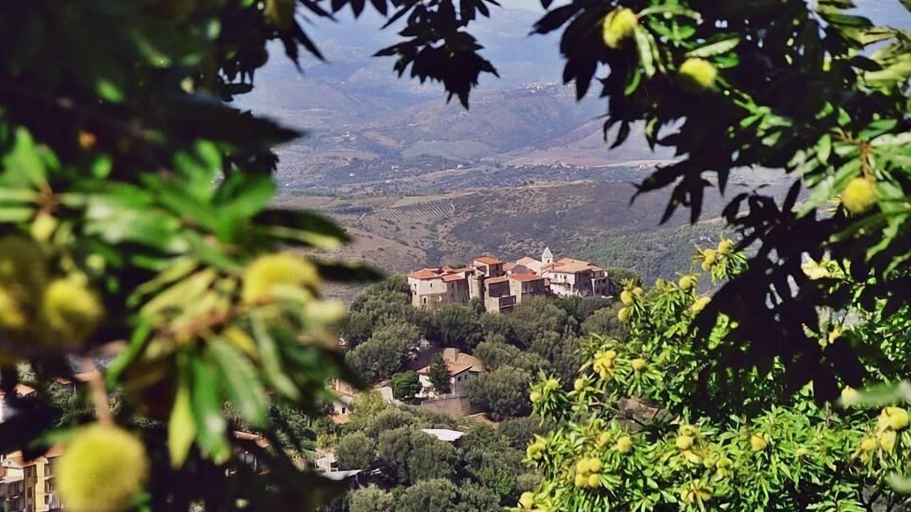 Photo of Others in Ascea