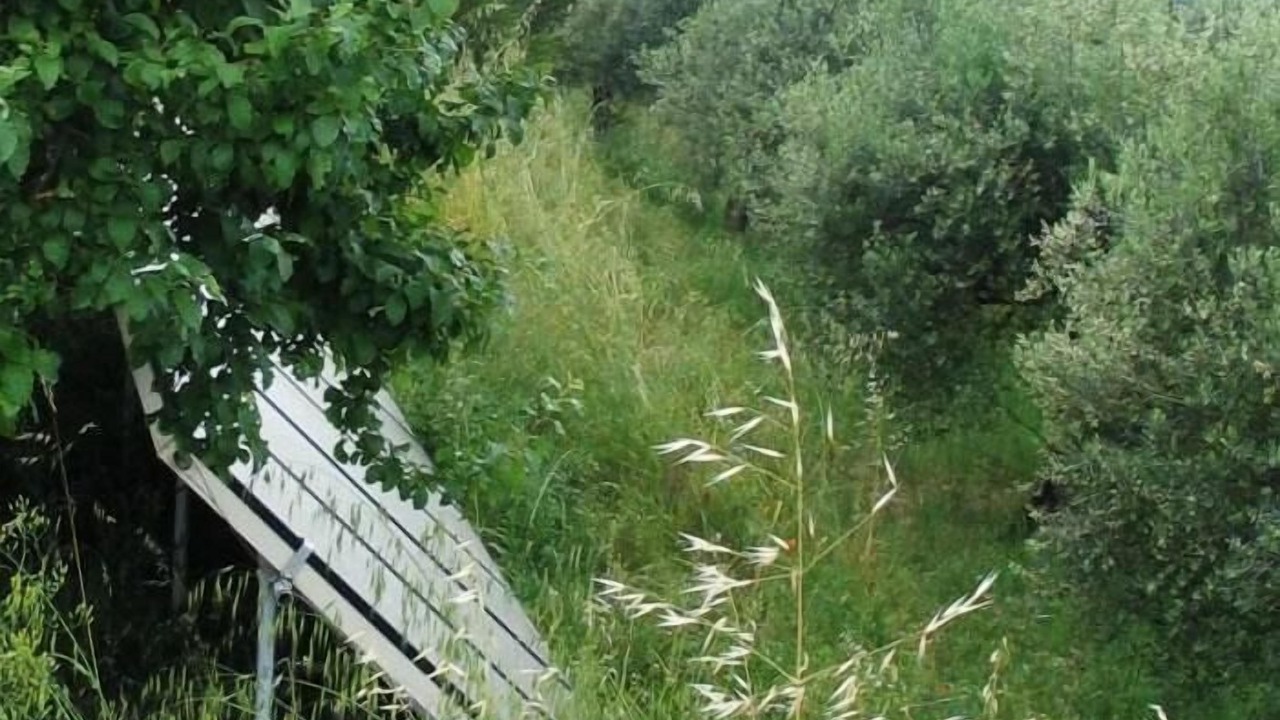 Photo of Others in Monte Vibiano Vecchio