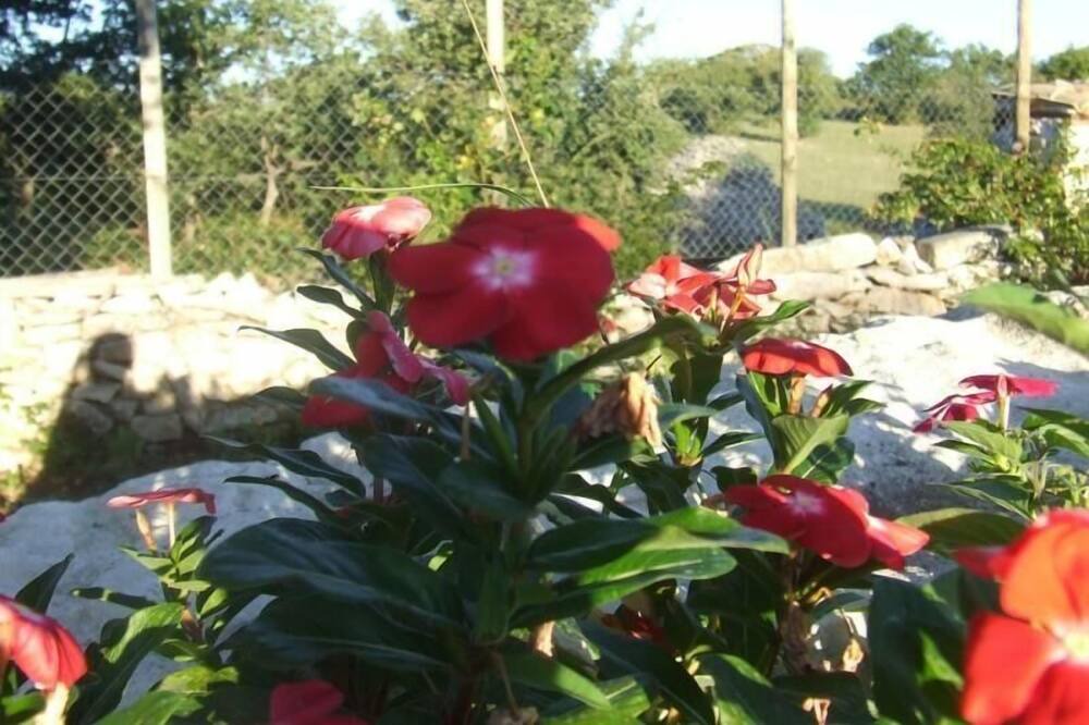 Photo of Outdoor in Abbateggio