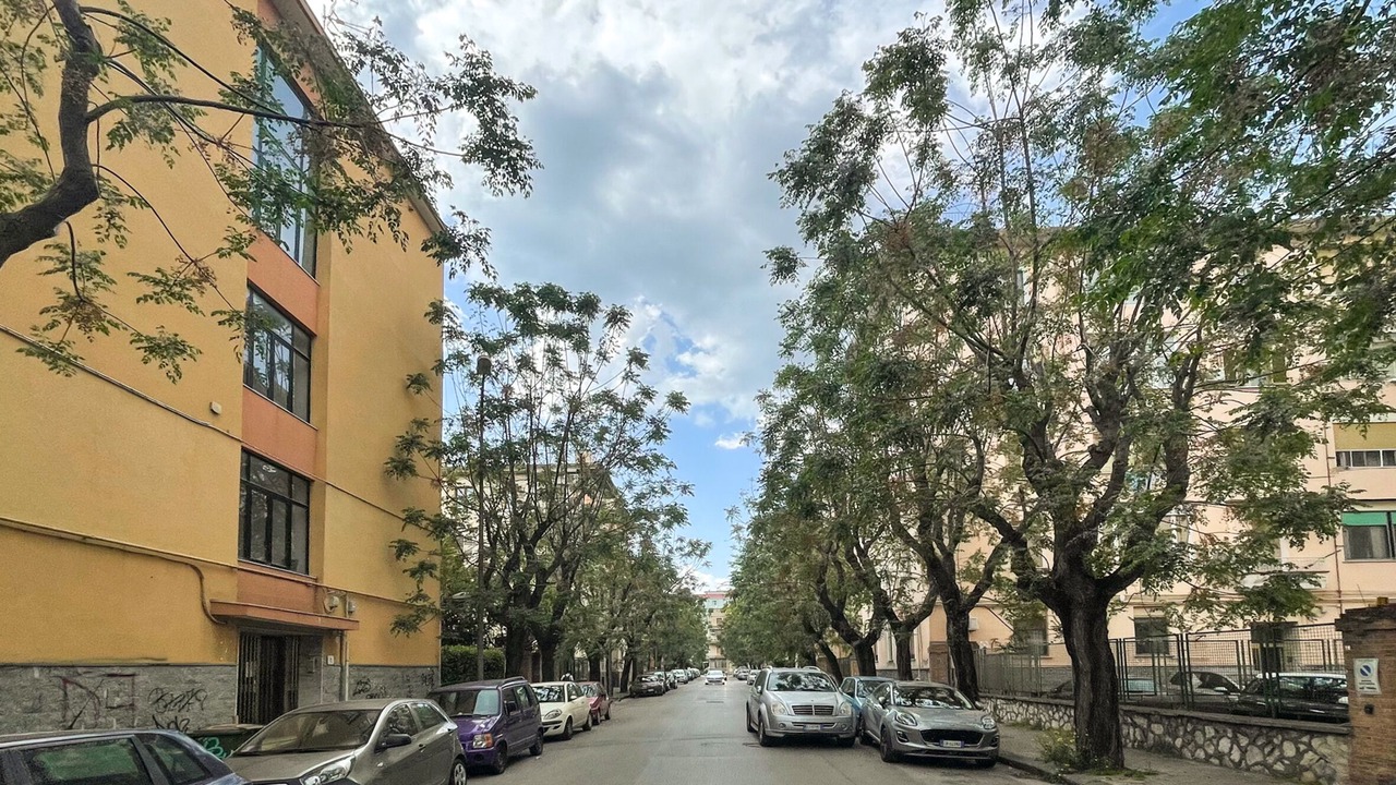 Photo of Outdoor in Salerno