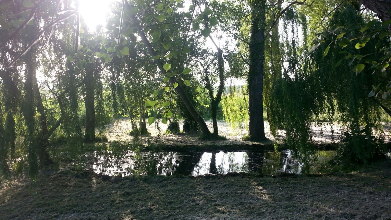 Photo of Outdoor in Guardea