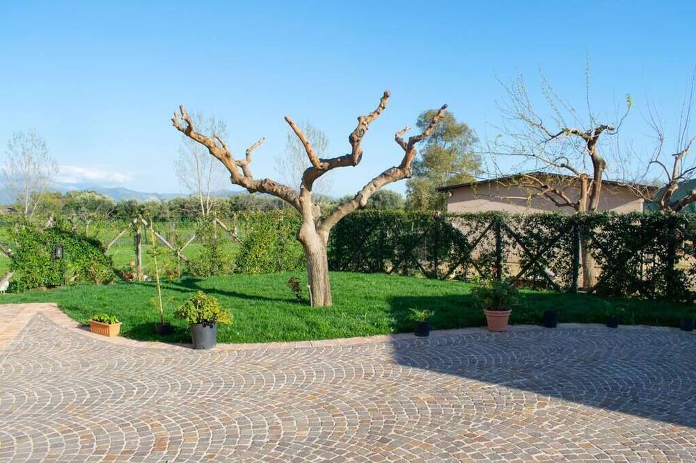 Photo of Outdoor in Monte San Biagio