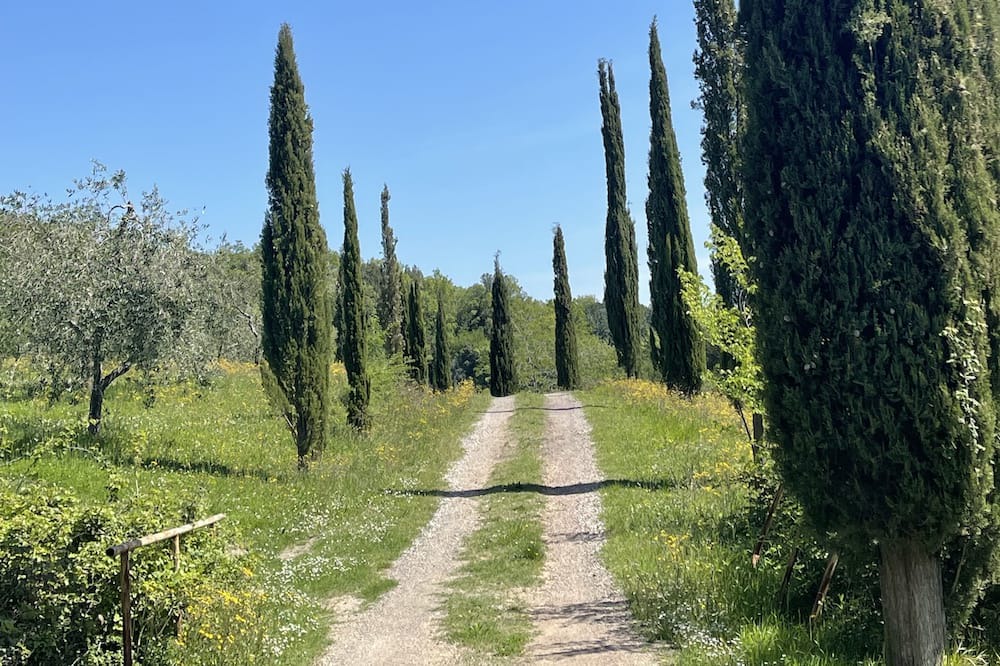 Photo of Outdoor in Roccastrada