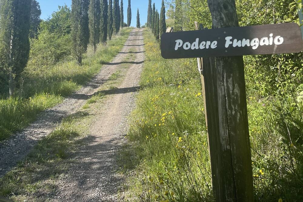 Photo of Others in Roccastrada