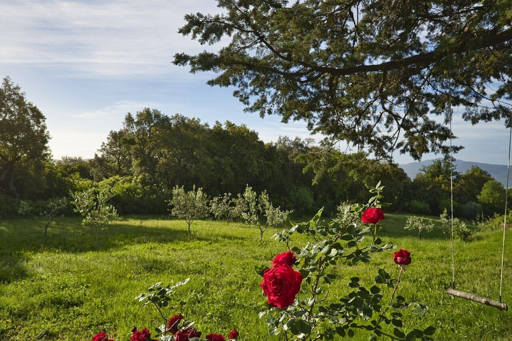 Photo of Outdoor in Roccastrada