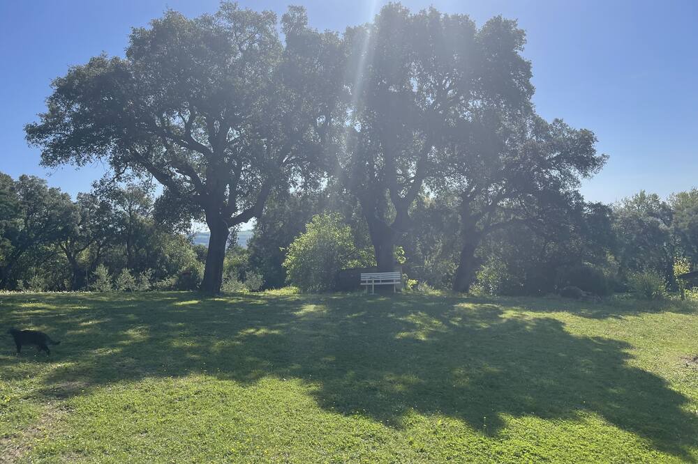 Photo of Outdoor in Roccastrada
