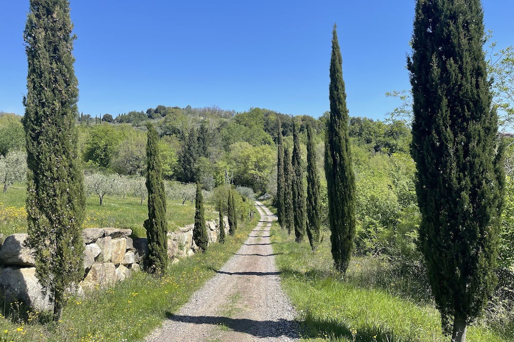 Photo of Outdoor in Roccastrada