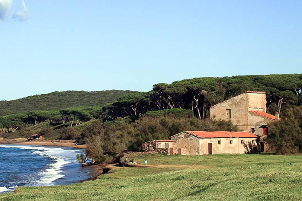 Photo of Others in Scansano