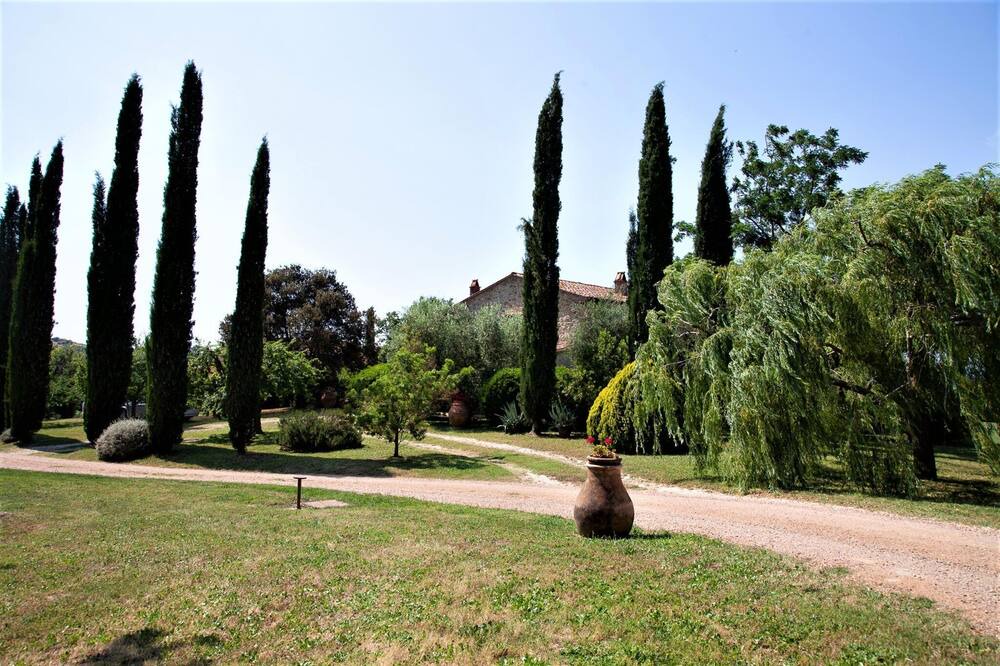 Photo of Outdoor in Scansano