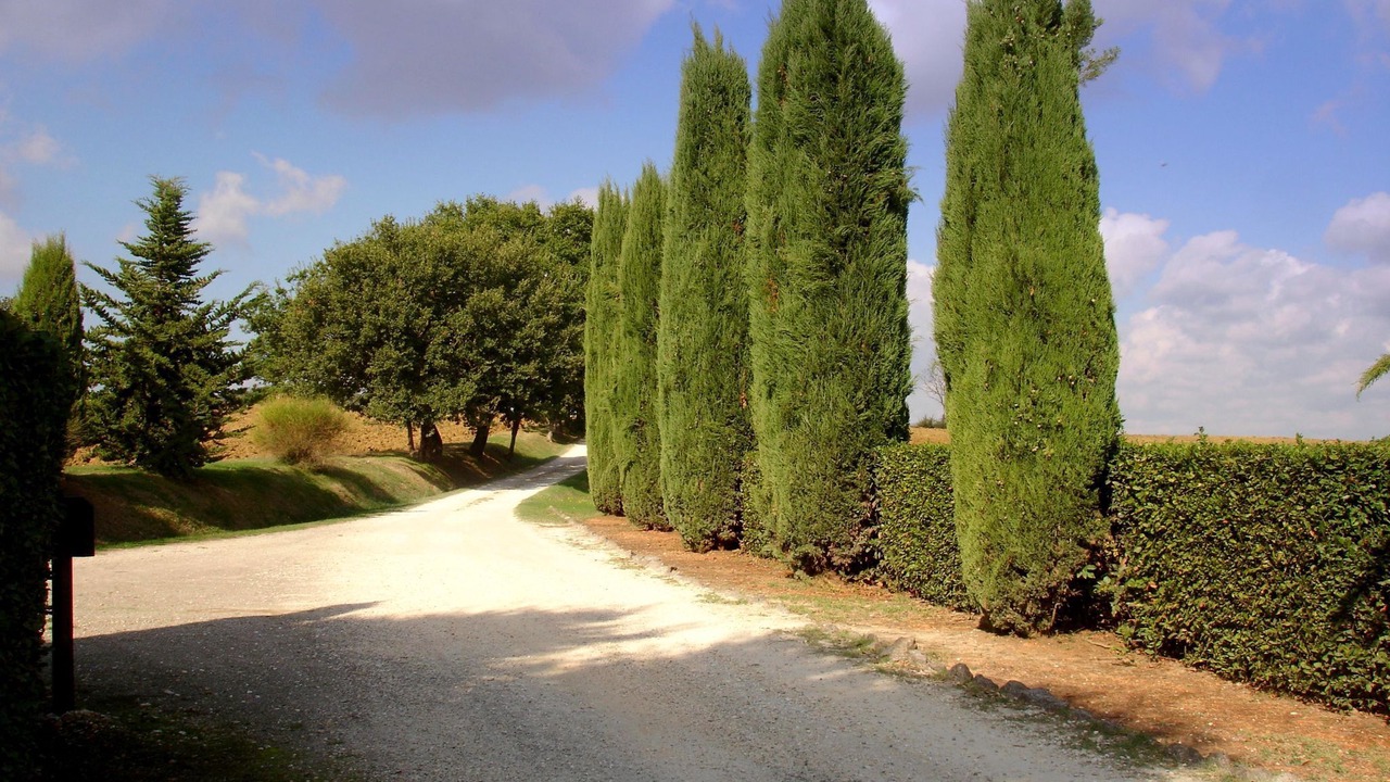 Photo of Outdoor in Casole d'Elsa