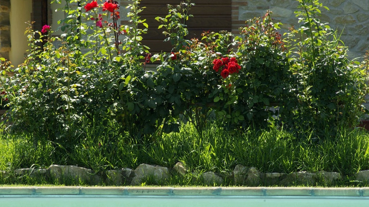 Photo of Outdoor in Marsciano