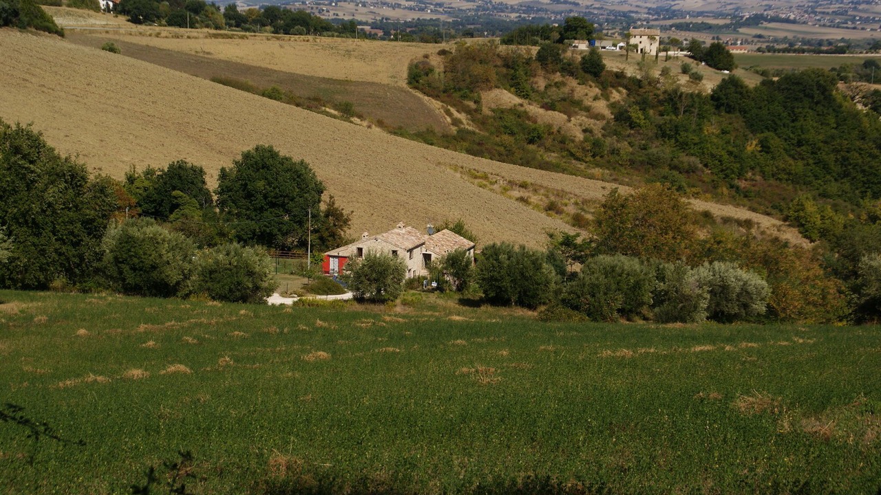 Photo of Outdoor in Avenale