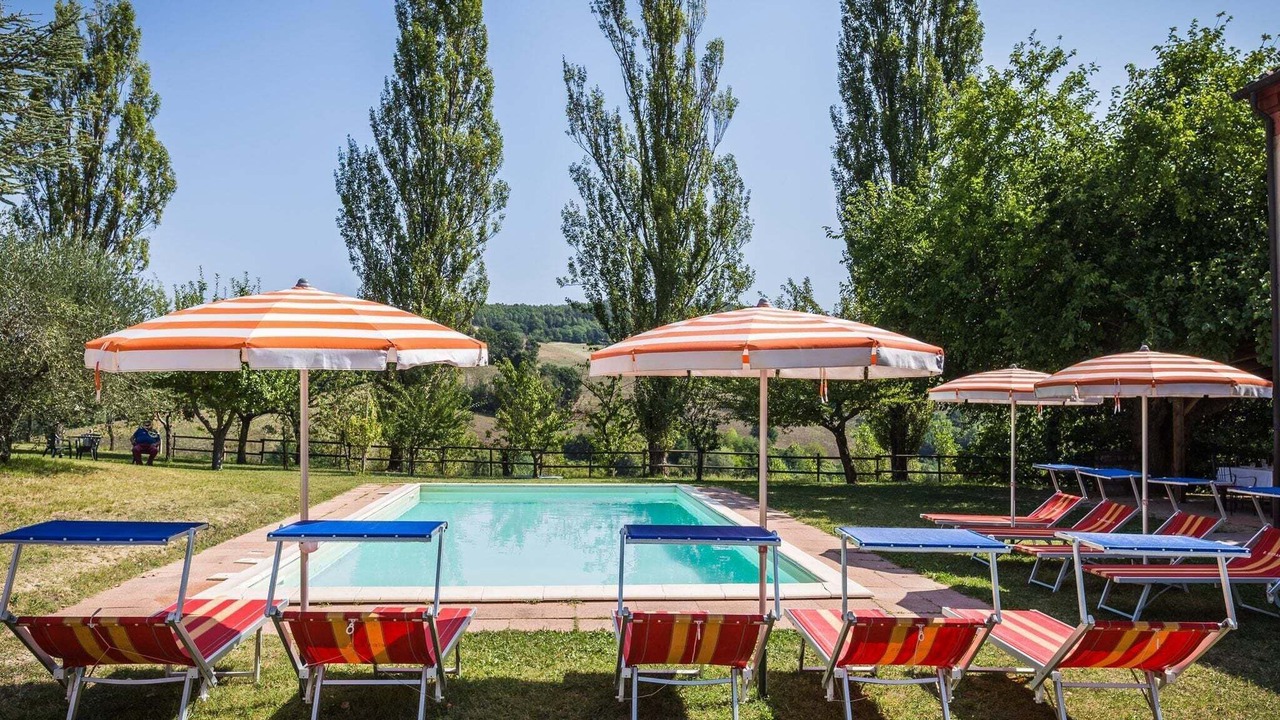 Photo of Outdoor in Pergola