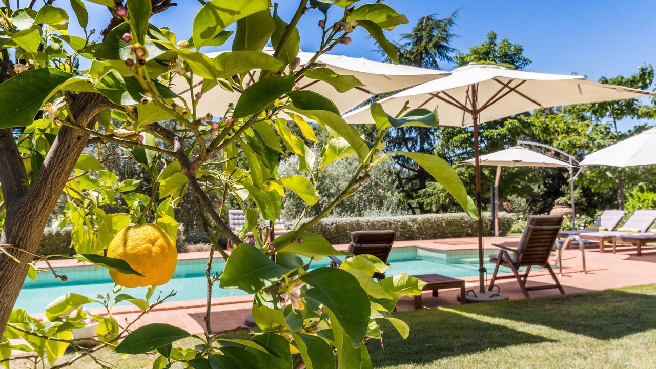Photo of Outdoor in Ripatransone