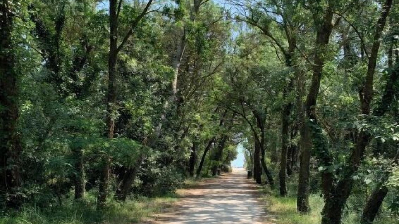 Photo of Outdoor in Casal Borsetti
