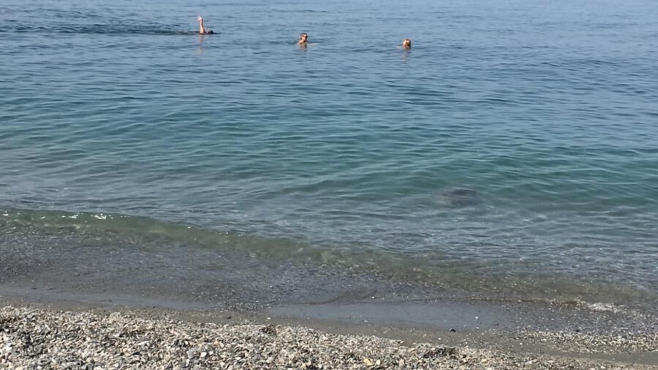 Photo of Others in Falerna Marina