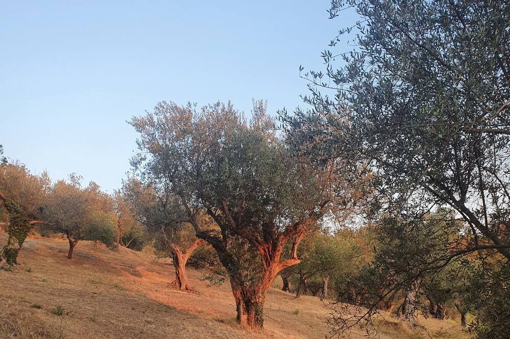 Photo of Outdoor in Melizzano