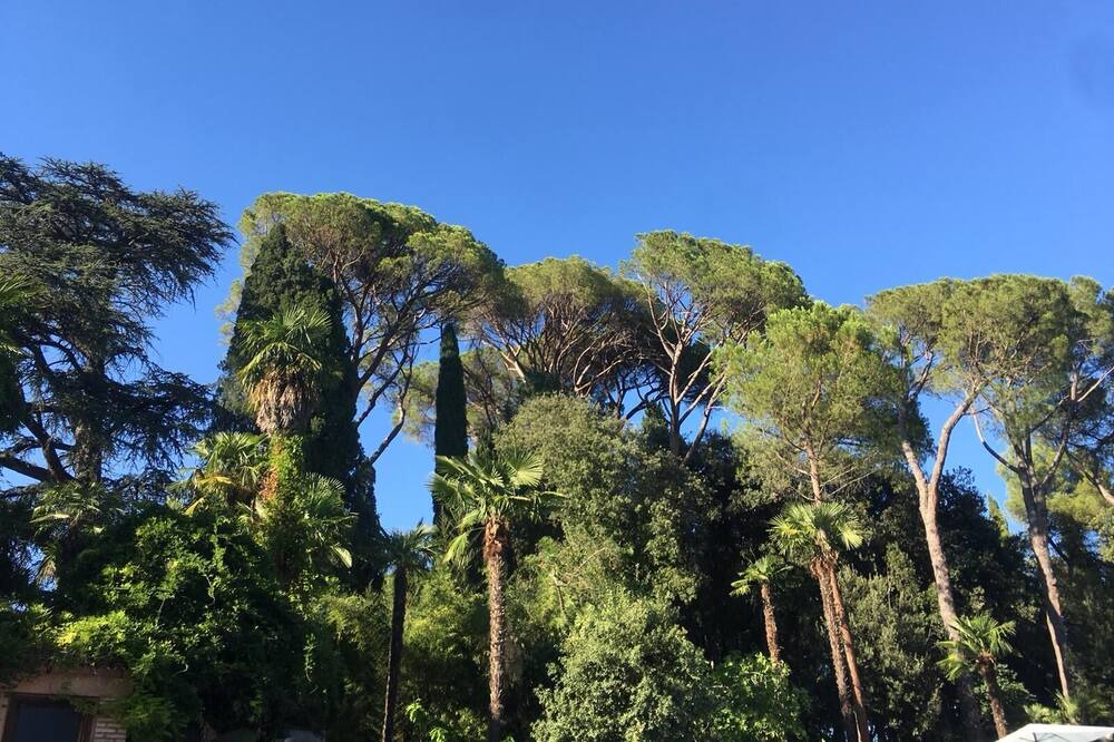 Photo of Outdoor in Treia