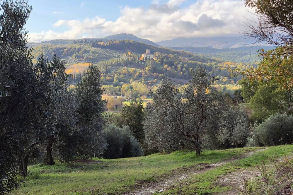 Photo of Outdoor in Tavernelle