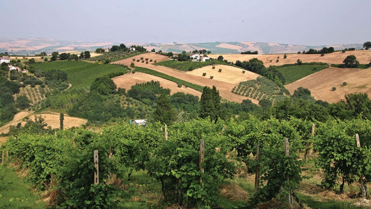 Photo of Outdoor in Monte Roberto