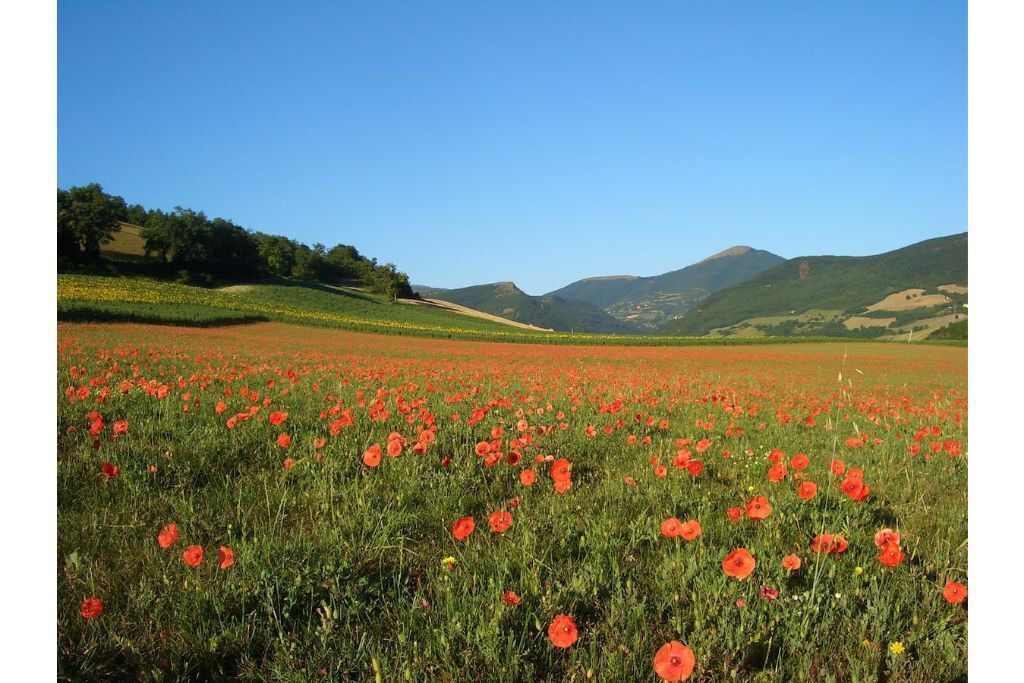 Photo of Outdoor in Camerino