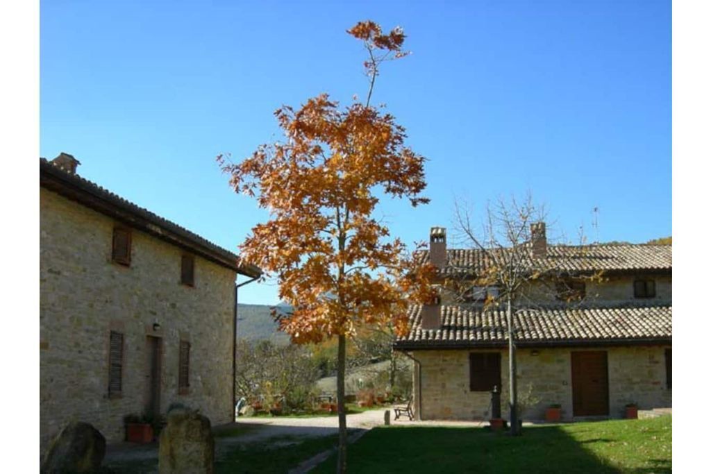 Photo of Buildings in Camerino