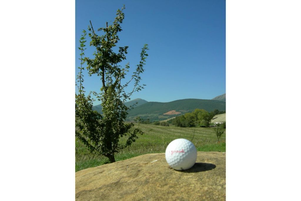 Photo of Others in Camerino