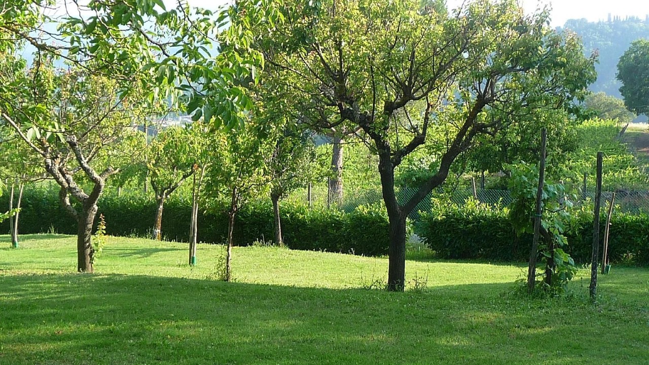 Photo of Outdoor in Pratovecchio