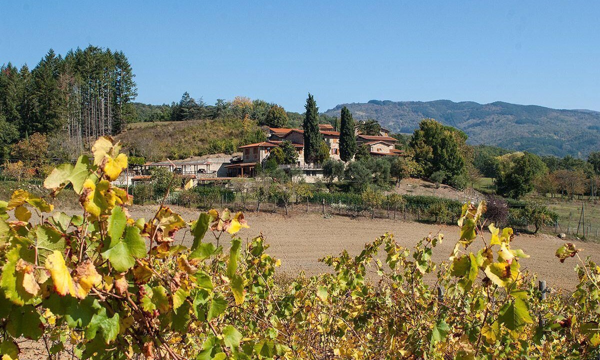 Photo of Outdoor in Pratovecchio
