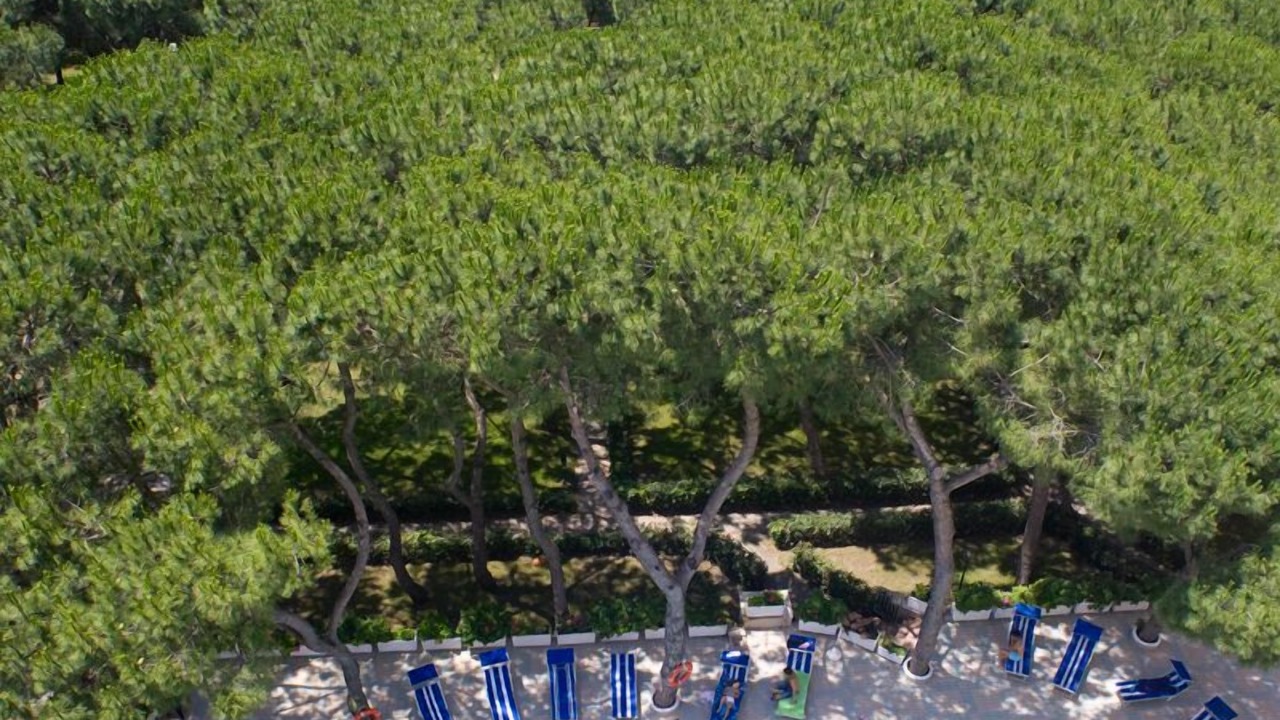 Photo of Outdoor in Baia Domizia