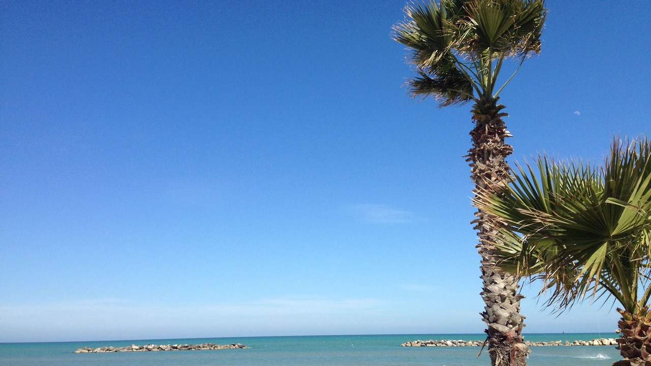 Photo of Others in Porto San Giorgio