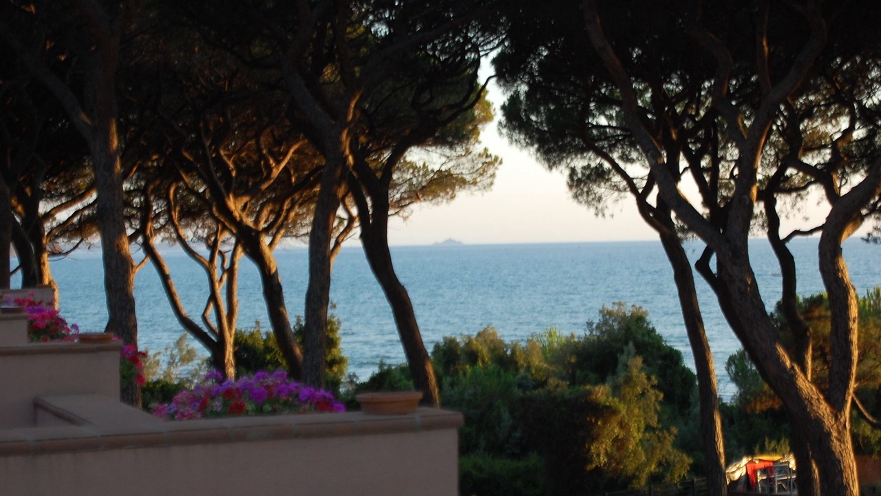 Photo of Patio Balcony in Scarlino