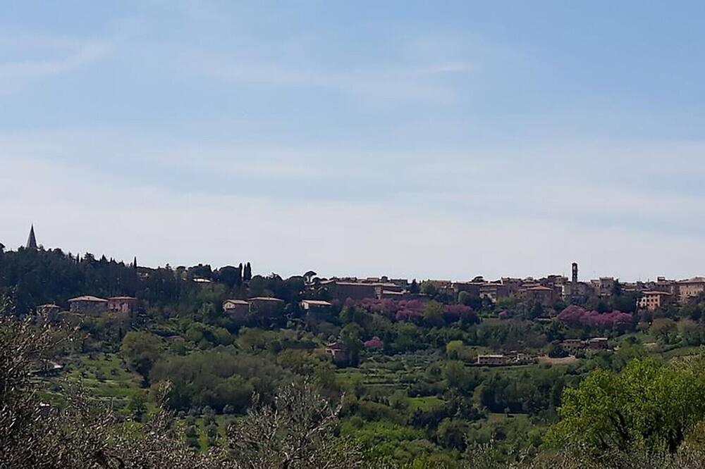 Photo of Others in Perugia