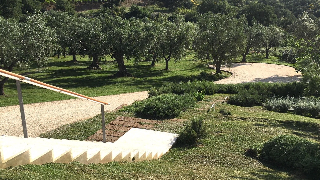 Photo of Outdoor in Magliano in Toscana
