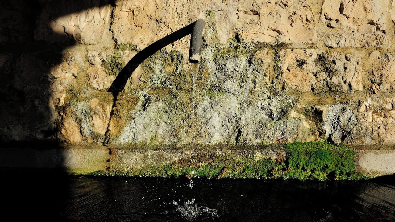 Photo of Others in Nocera Umbra