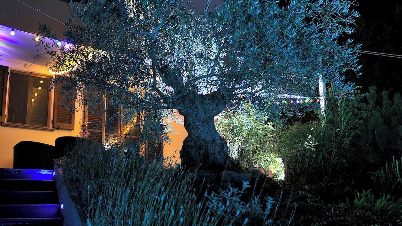 Photo of Outdoor in Nocera Umbra