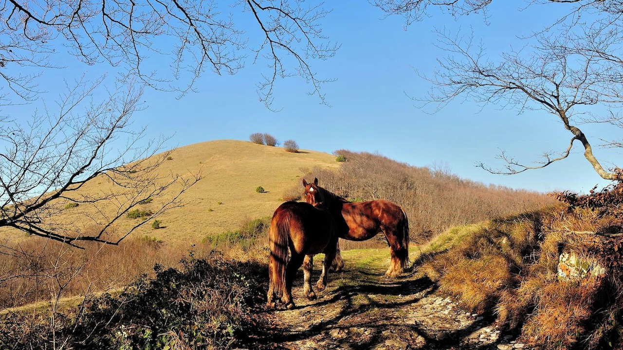 Photo of Outdoor in Nocera Umbra