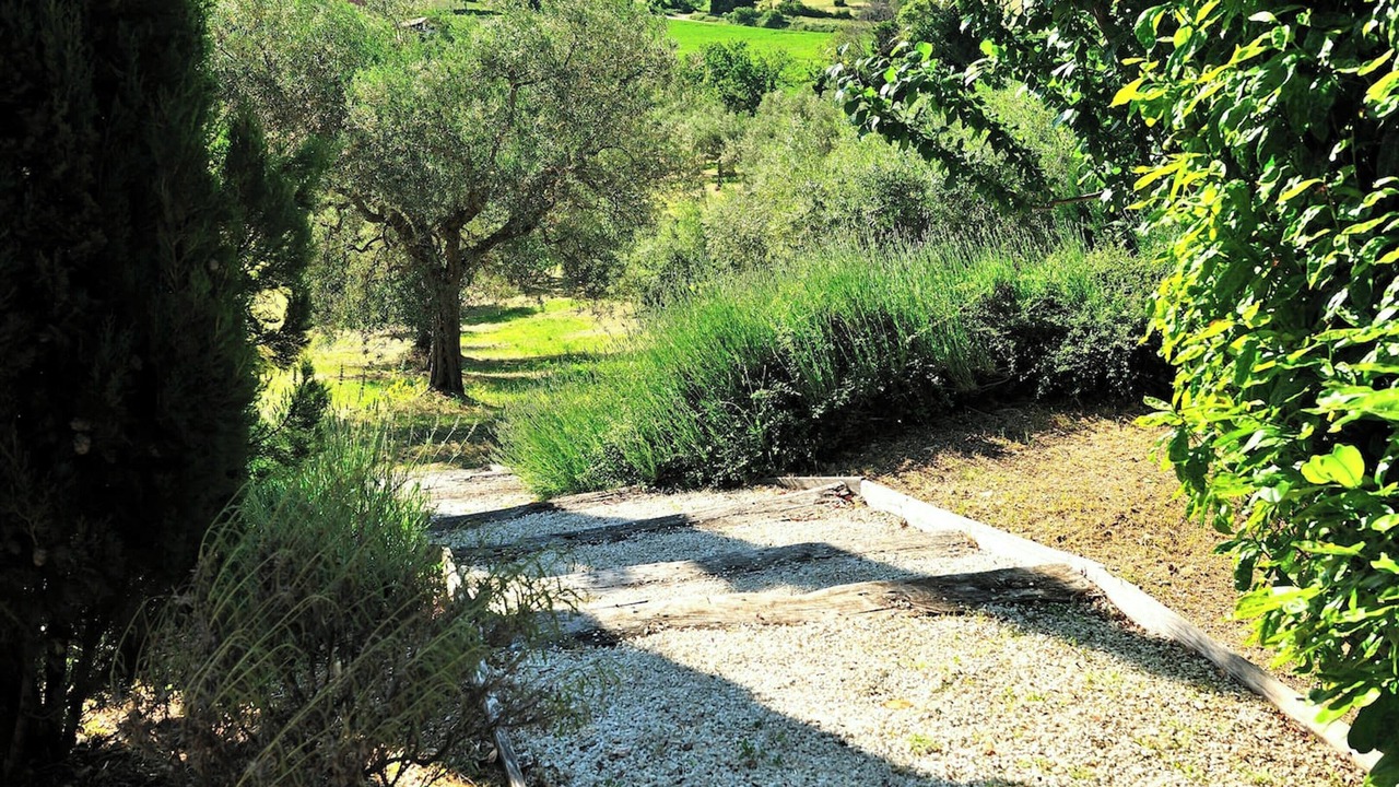 Photo of Outdoor in Nocera Umbra