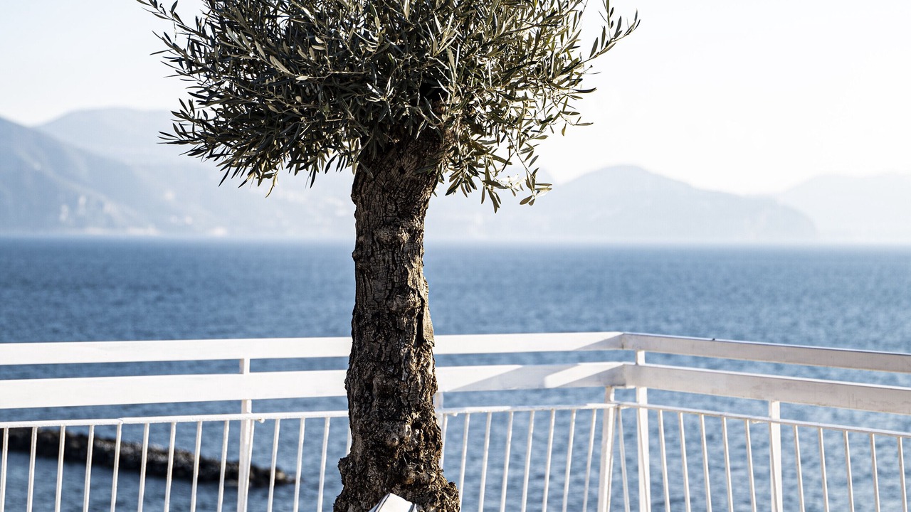 Photo of Outdoor in Camaldoli