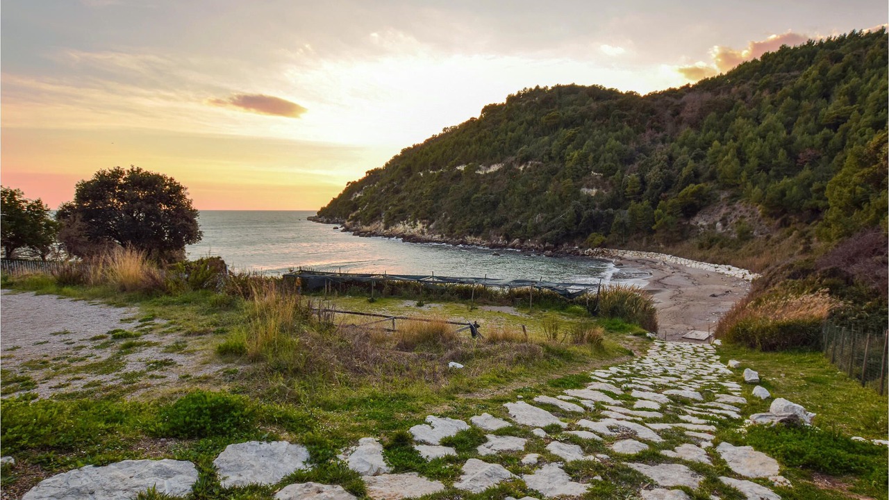 Photo of Others in Baia Domizia